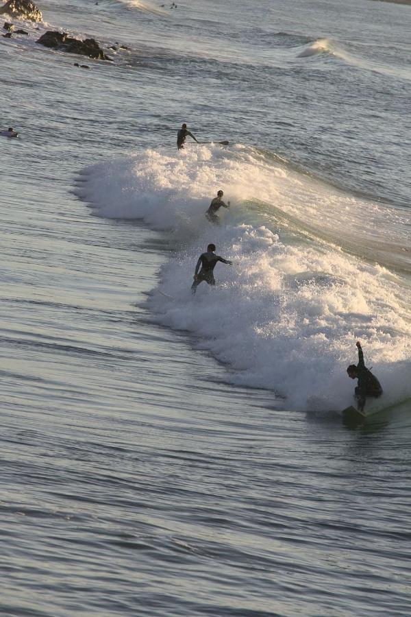 Ocean 7